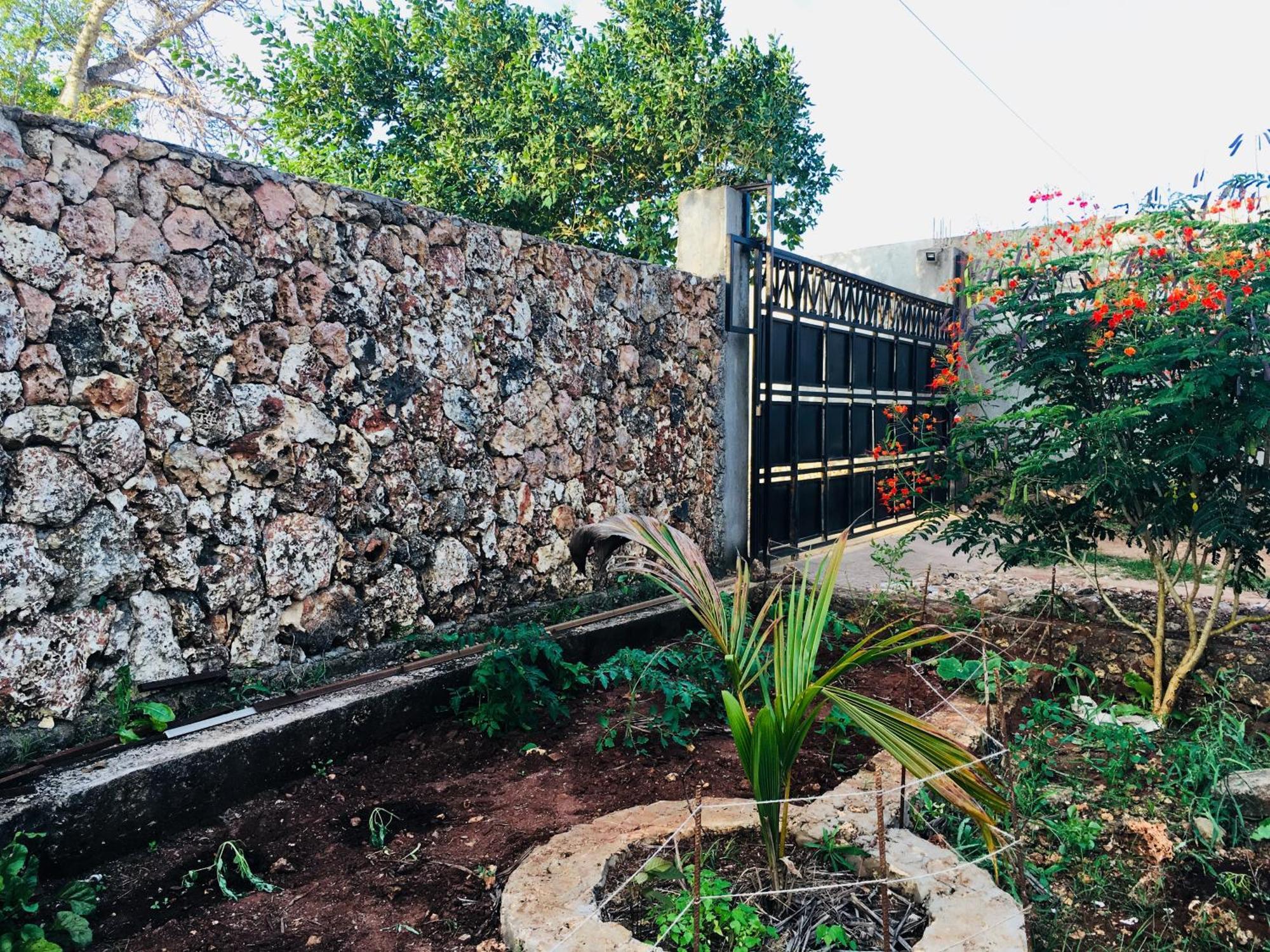 Modern Flats - Wambaa Garden Apartment Kendwa