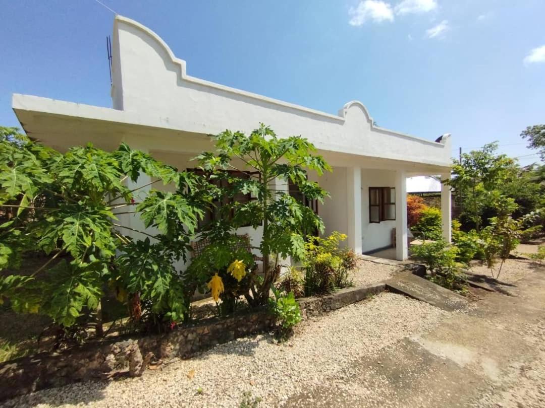 Modern Flats - Wambaa Garden *